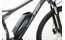 Carver Strict E02 - 500 Wh - 29 Zoll - Diamant