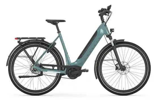 Bosch - E-Bike City - Gazelle Ultimate C5 HMB - 625 Wh - 28 Zoll - Tiefeinsteiger