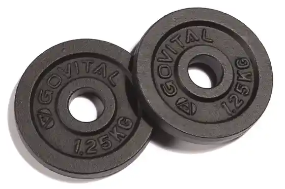 Marken - Govital Guss-Scheiben, 2x1,25kg