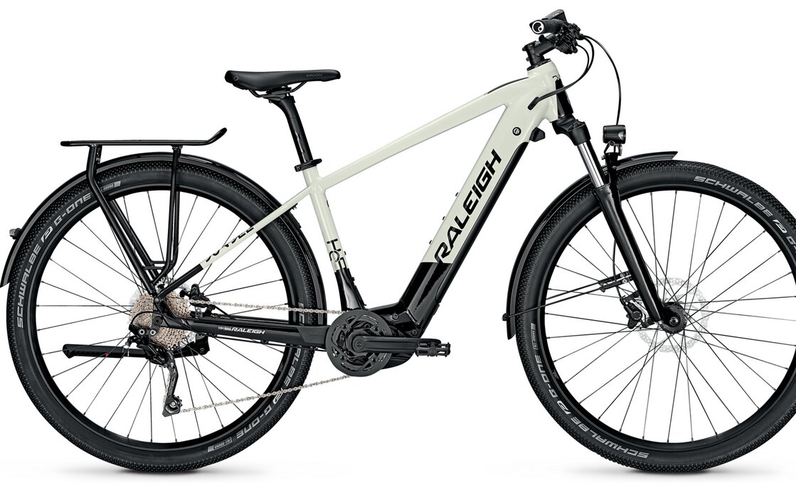 Raleigh Dundee 10 - 500 Wh - Auslaufmodell - 29 Zoll - Diamant