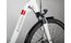 Carver Cityzen E LTD RT - 400 Wh - 28 Zoll - Tiefeinsteiger - 2025