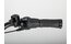 Carver Cityzen E LTD RT - 400 Wh - 28 Zoll - Tiefeinsteiger - 2025