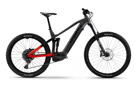 Mittelmotor - E-Bike Enduro - Haibike Allmtn 4 - 800 Wh - 29 - 27,5 Zoll - Fully