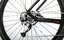 Carver Strict E LTD - 400 Wh - 29 Zoll - Diamant