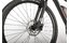 Carver Strict E LTD - 400 Wh - 29 Zoll - Diamant