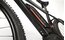 Carver Strict E LTD - 400 Wh - 29 Zoll - Diamant