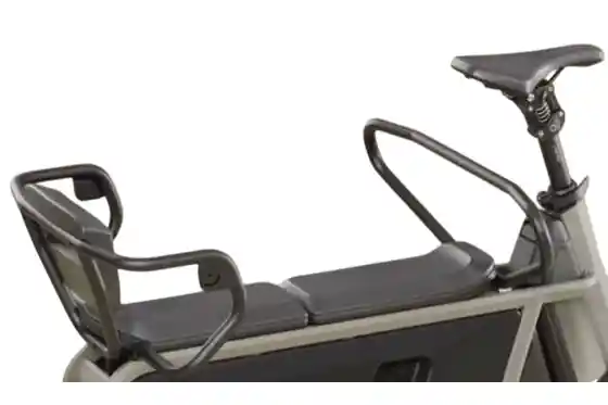 Lastenrad Zubehör - Rail Rear, Reling R&uuml;ckteil - R&uuml;ckenst&uuml;tze f&uuml;r QiO Long