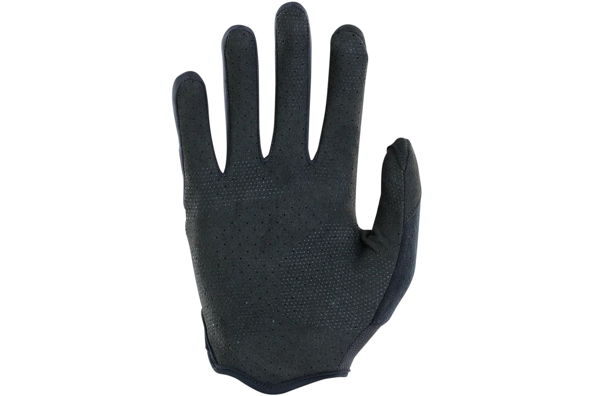 ION Scrub Amp Handschuhe