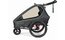 Qeridoo Kidgoo 2 Ivy Green