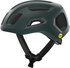 pargasite green matt