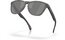 Oakley Frogskins Matte Grey Ink Fingerprint/Prizm Black