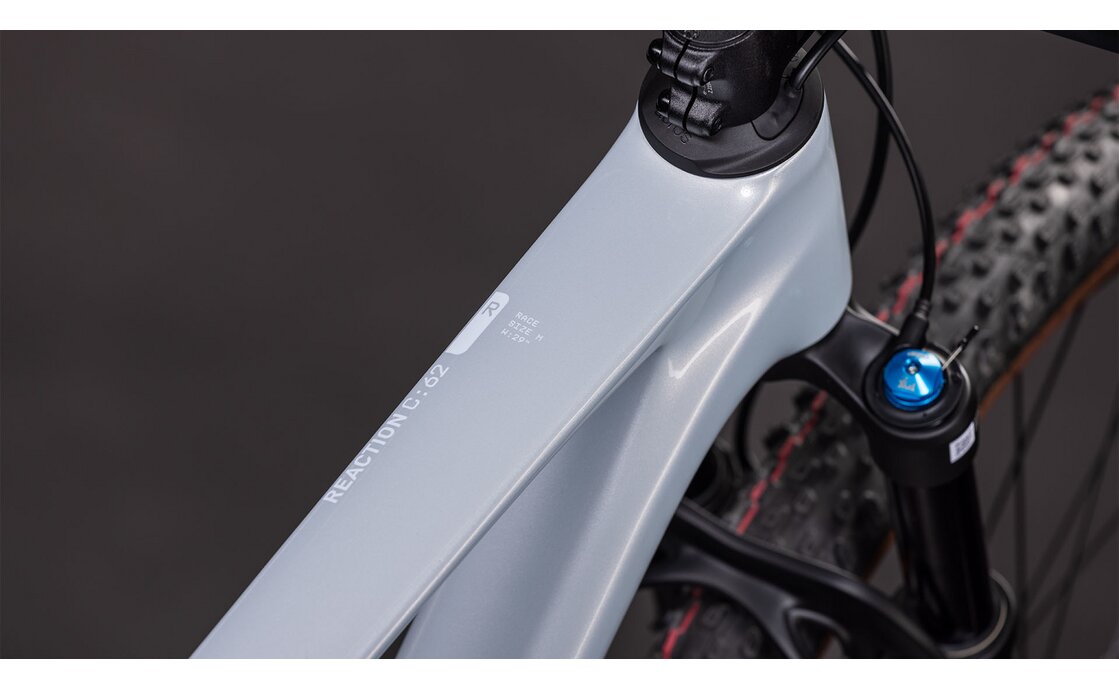 Cube Reaction C:62 Race - 29 Zoll - Diamant - 2026