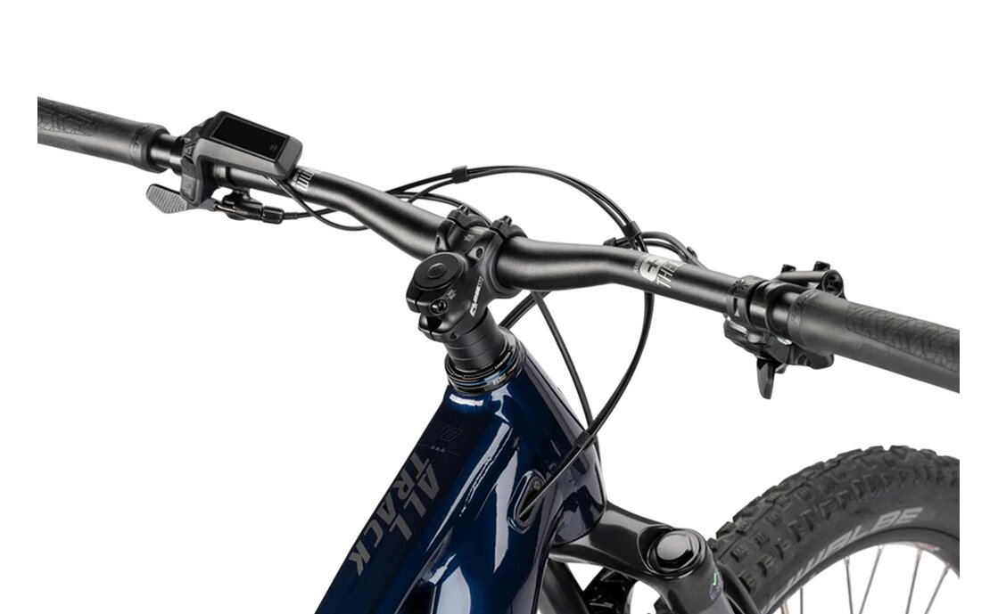 Haibike Alltrack 10 29 - 800 Wh - 29 Zoll - Diamant