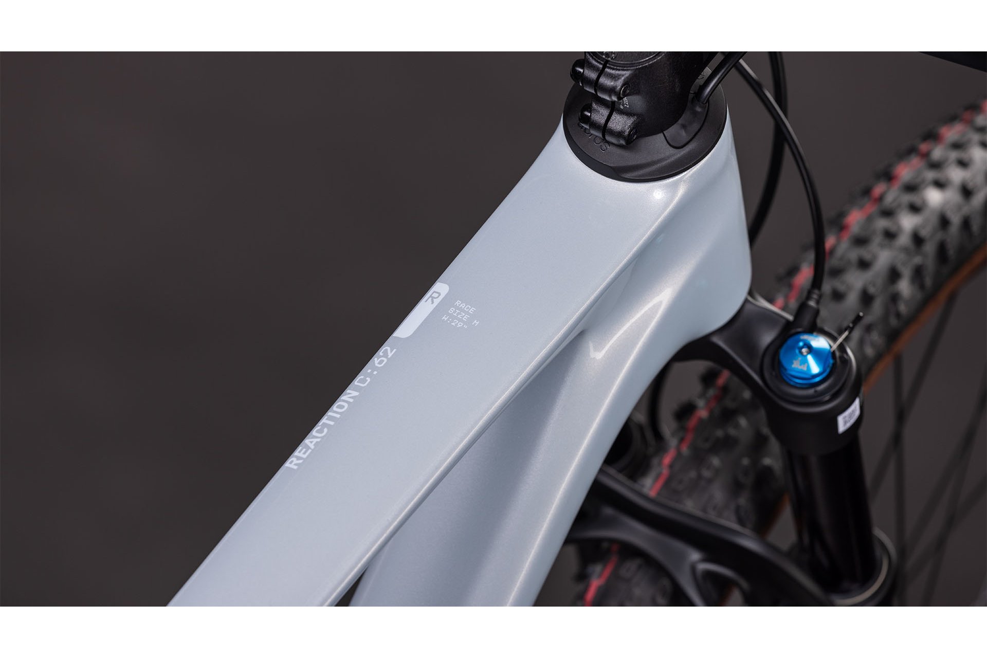 Cube Reaction C:62 Race - 29 Zoll - Diamant - 2026