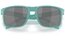 Oakley Holbrook Matte Pacific/Prizm Black