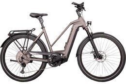 Hercules Futura Max I-12 - 750 Wh - 28 Zoll - Damen Sport - Aktion