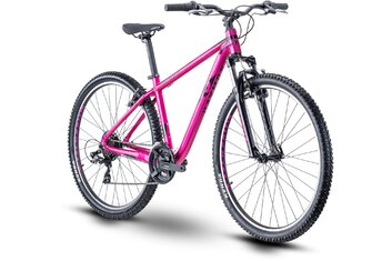 Hardtail - Raymon NineRay 1.0 - 2022 - 29 Zoll - Diamant