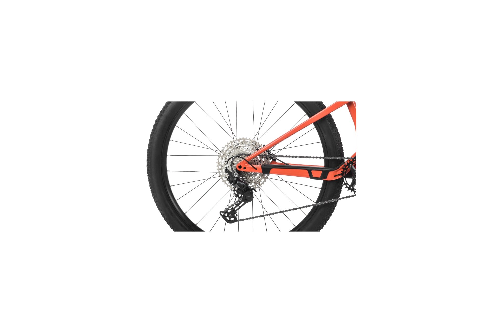 Orbea Oiz H30 - 29 Zoll - Fully - Aktion