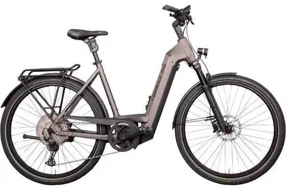 E-Bike Trekking - Hercules Futura Max I-12 - 750 Wh - 28 Zoll - Tiefeinsteiger