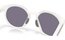 Oakley Hstn Matte Vapor/Prizm Grey