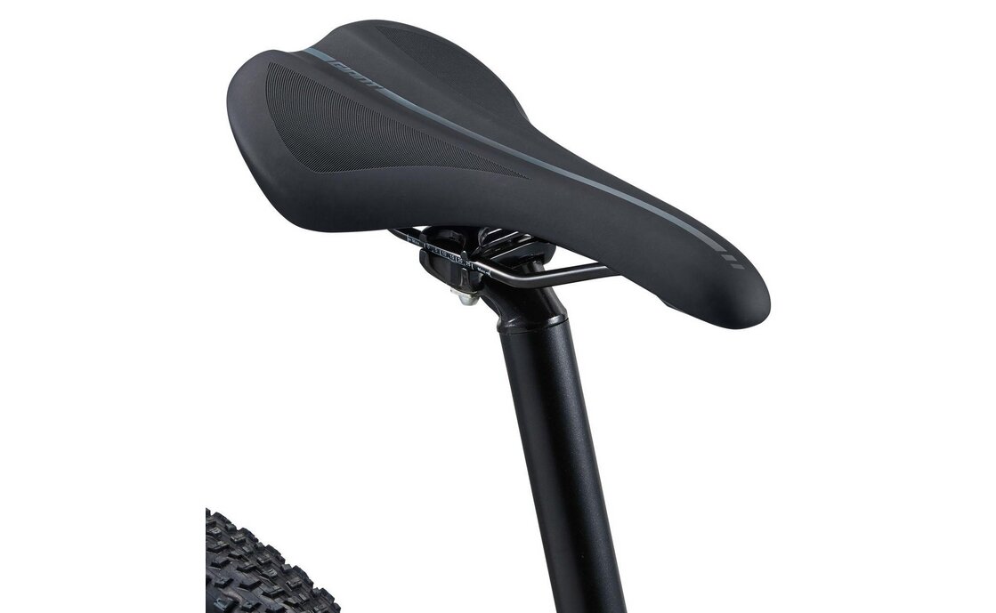 Giant Talon 0 - 29 Zoll - Diamant