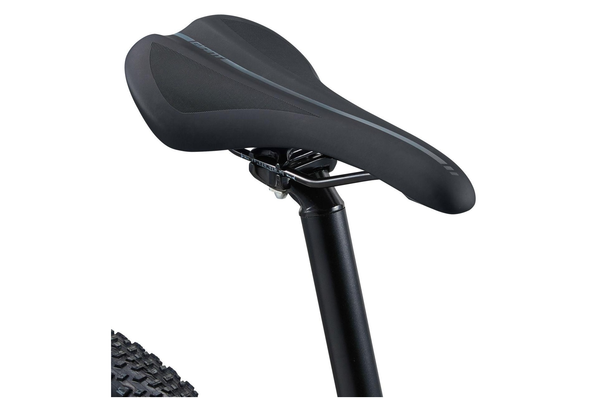 Giant Talon 0 - 29 Zoll - Diamant