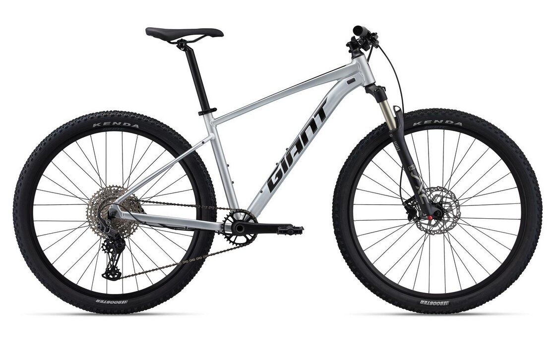 Giant Talon 0 - 29 Zoll - Diamant