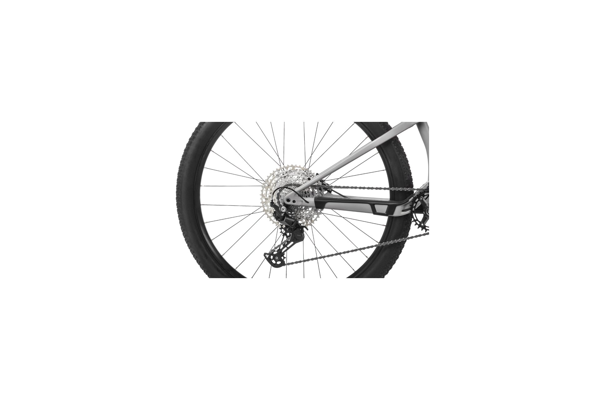 Orbea Oiz H30 - 29 Zoll - Fully - Aktion