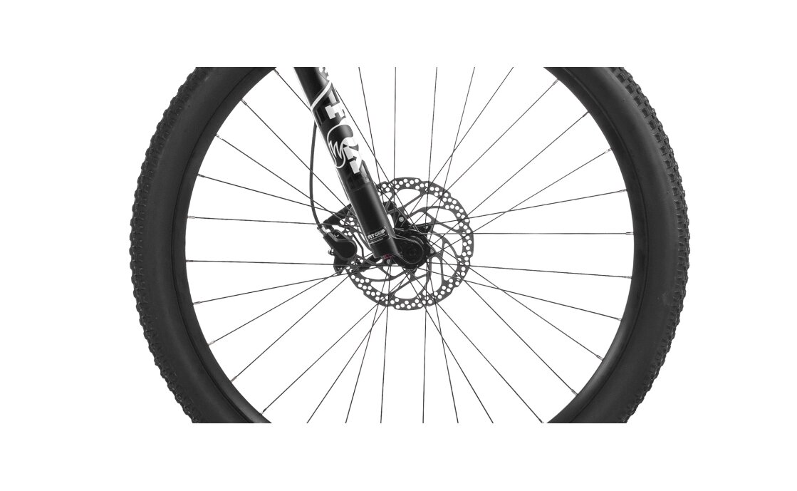 Orbea Oiz H30 - 29 Zoll - Fully - Aktion