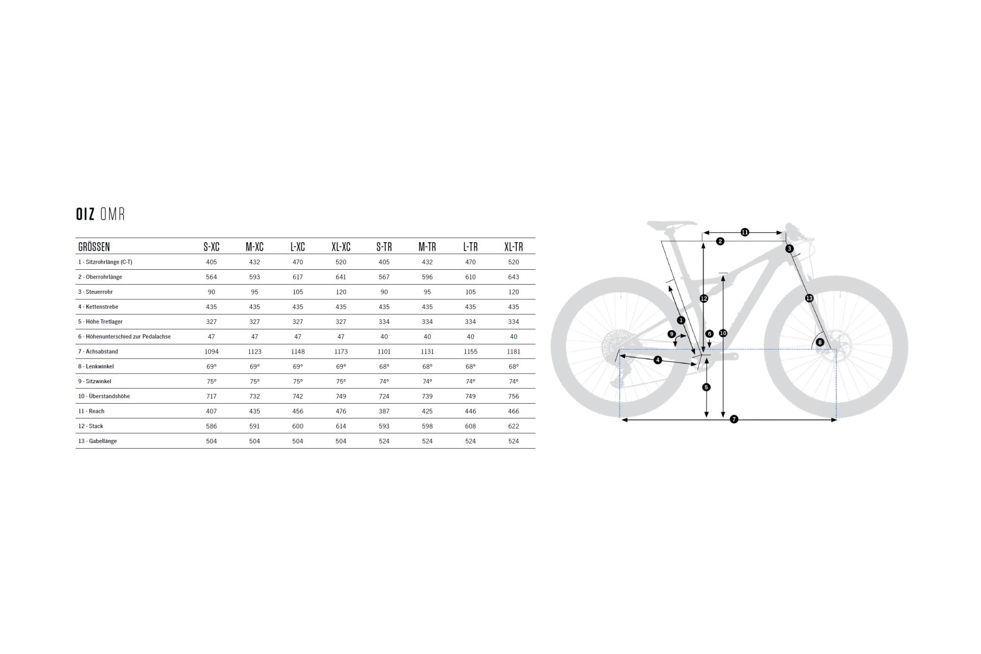 Orbea Oiz H30 - 29 Zoll - Fully - Aktion