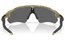 Oakley Radar Ev Path Matte Fern Terrazzo/Prizm Black Polarized