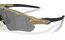 Oakley Radar Ev Path Matte Fern Terrazzo/Prizm Black Polarized