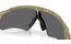 Oakley Radar Ev Path Matte Fern Terrazzo/Prizm Black Polarized