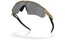 Oakley Radar Ev Path Matte Fern Terrazzo/Prizm Black Polarized