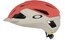 Oakley ARO3 Allroad