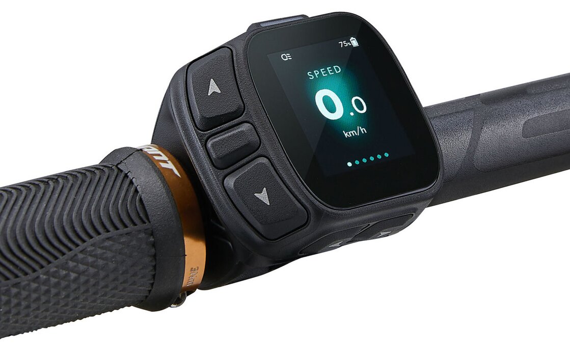 Giant Stance E+ 1 - 800 Wh - 29 Zoll - Fully