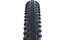 Schwalbe Racing Ray 26x2,25 EVO ADDIX SpeedGrip SnakeSkin Super Groun