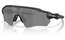 Oakley Radar Ev S Path Matte Black/Prizm Black Polar