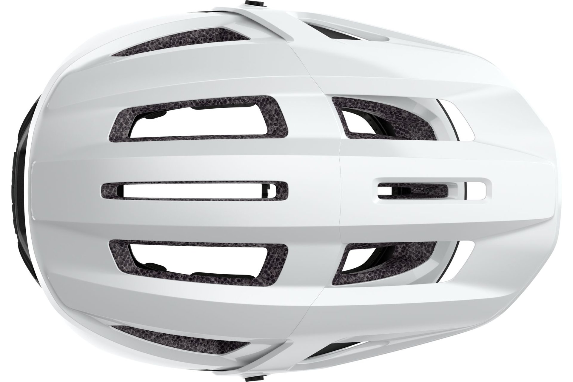 Scott Stego Plus MIPS