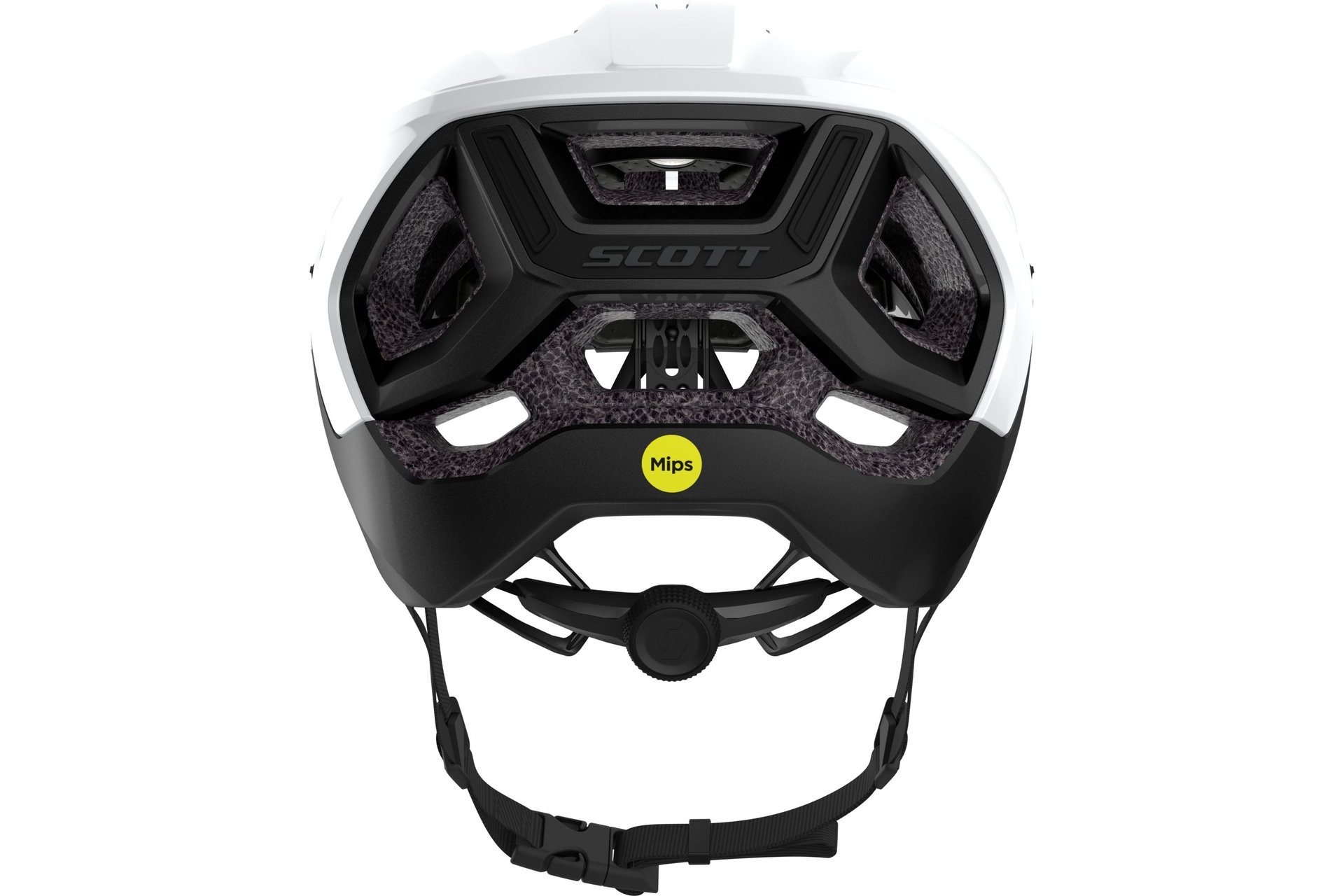 Scott Stego Plus MIPS