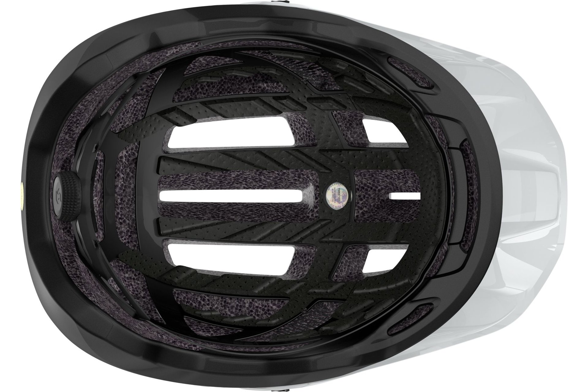 Scott Stego Plus MIPS