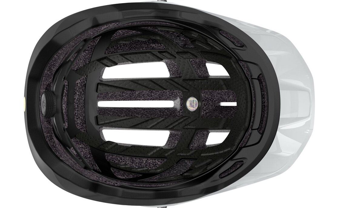 Scott Stego Plus MIPS