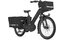 Gazelle Cabby C380 L 24" SE - 545 Wh - 24 Zoll - Longtail - 2026