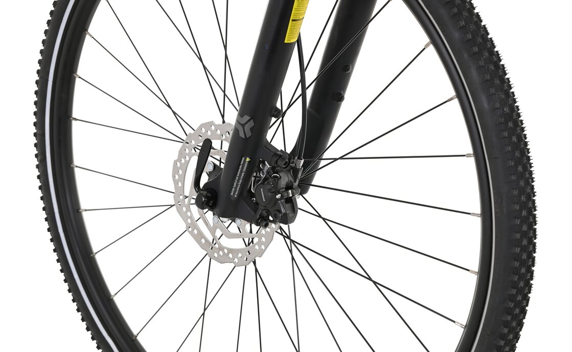 Carver Cinos 110 - 28 Zoll - Diamant - 2024