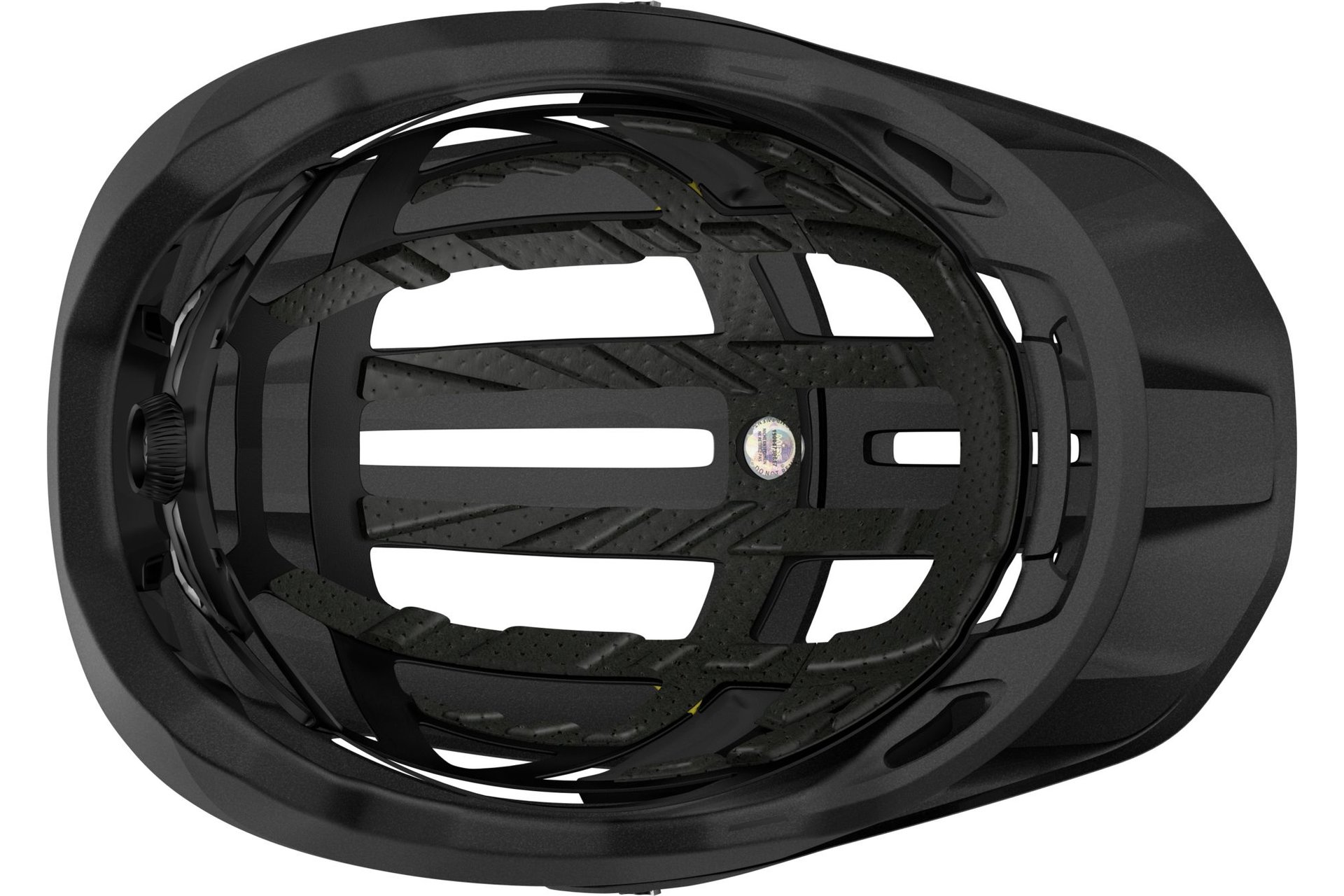 Scott Stego Plus MIPS