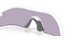 Oakley Radar Plate Polished White/Prizm Slate