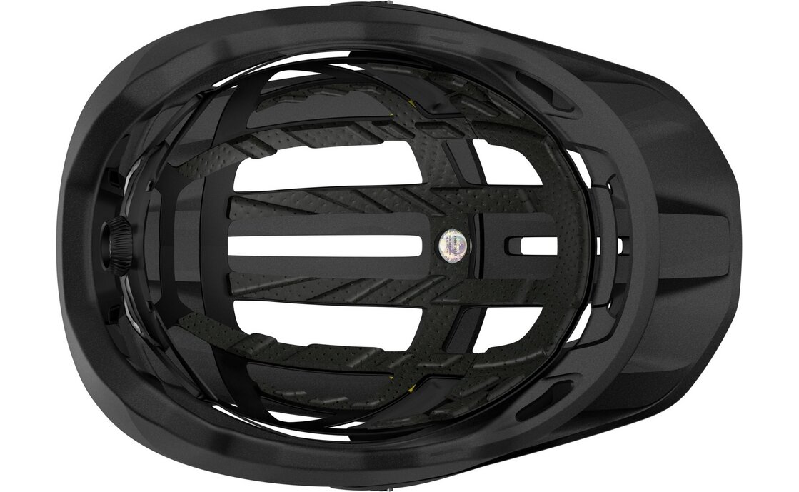 Scott Stego Plus MIPS