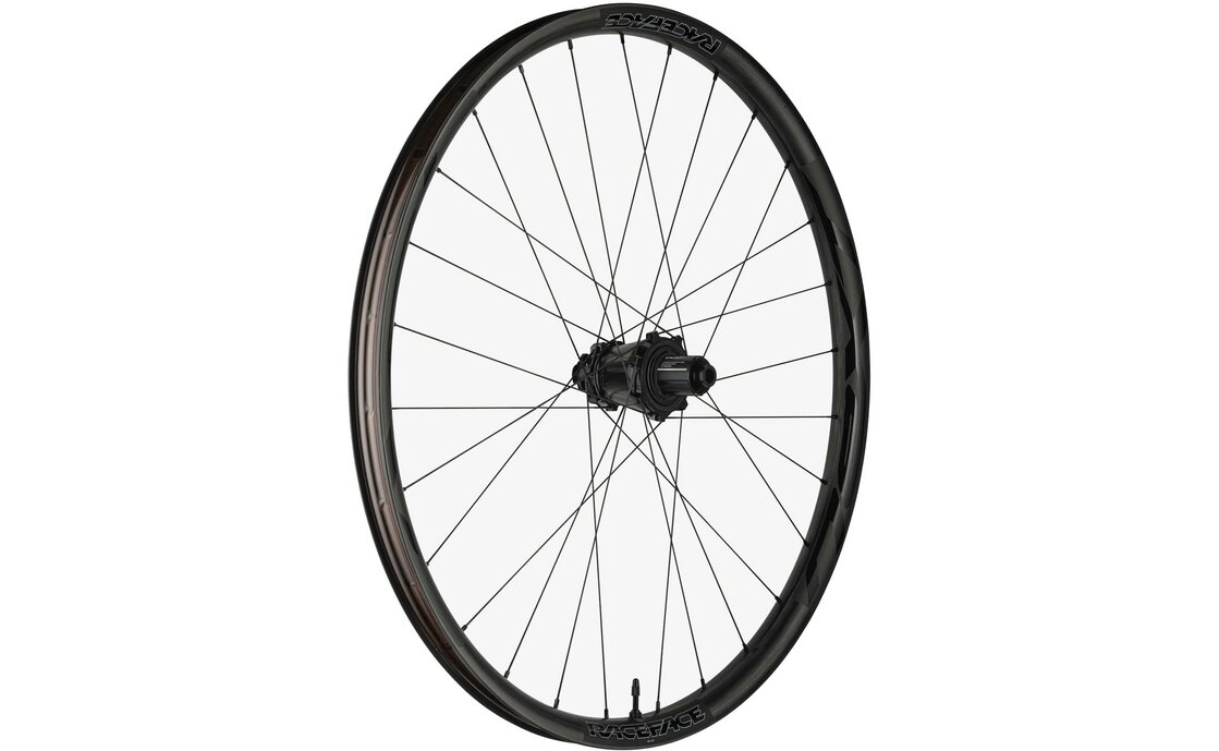 Race Face Next R 31 Super Boost Microspline 29" Hinterrad