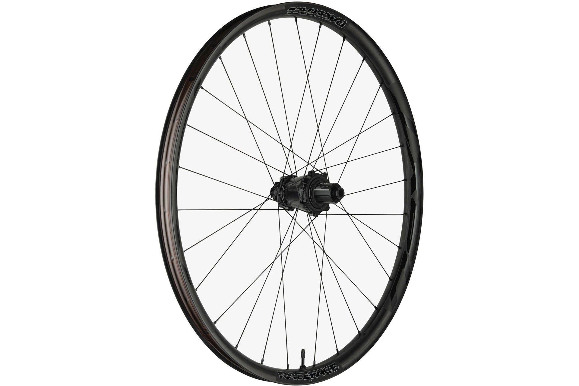 Race Face Next R 31 Super Boost Microspline 29" Hinterrad