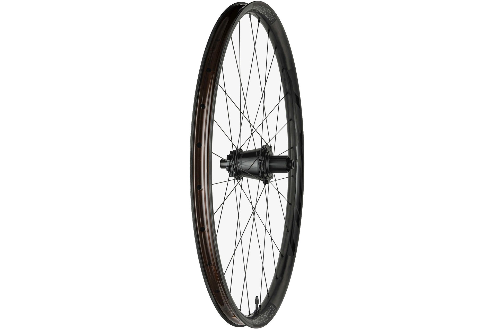 Race Face Next R 31 Super Boost Microspline 29" Hinterrad